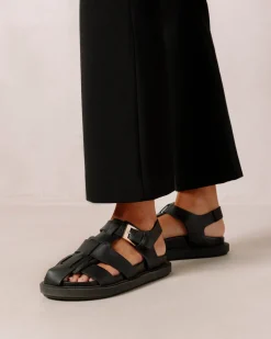 Backbone Black Clog