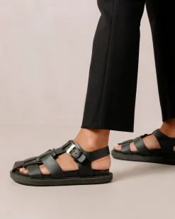 Backbone Black Clog