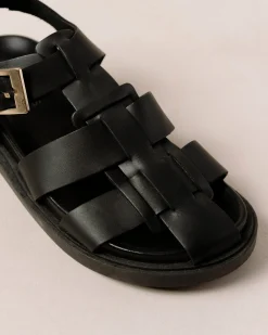 Backbone Black Clog