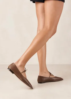 Sway Chestnut Brown Leather Ballet Flats