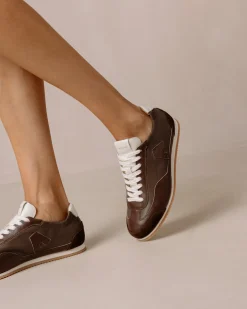 Tb.70 Cocoa Powder